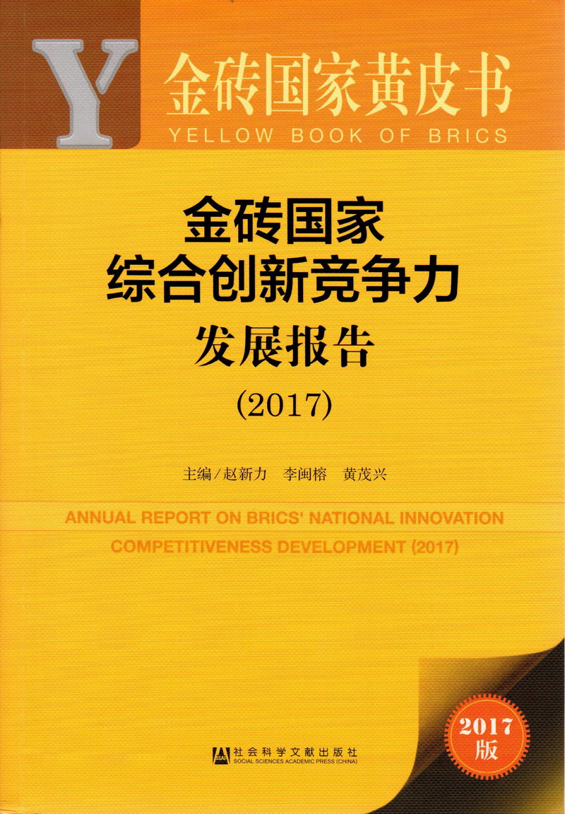 成人肏屄视频网站金砖国家综合创新竞争力发展报告（2017）